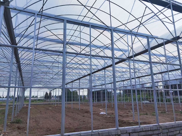 Five layer coextrusion greenhouse film