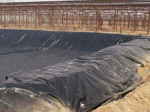 Aquaculture membrane